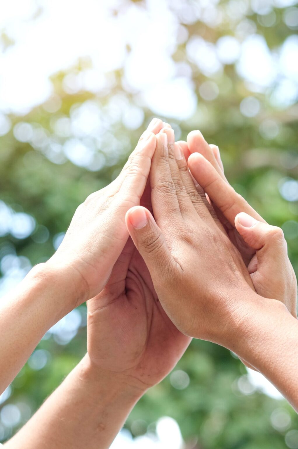 Panzani Groupe Panzani