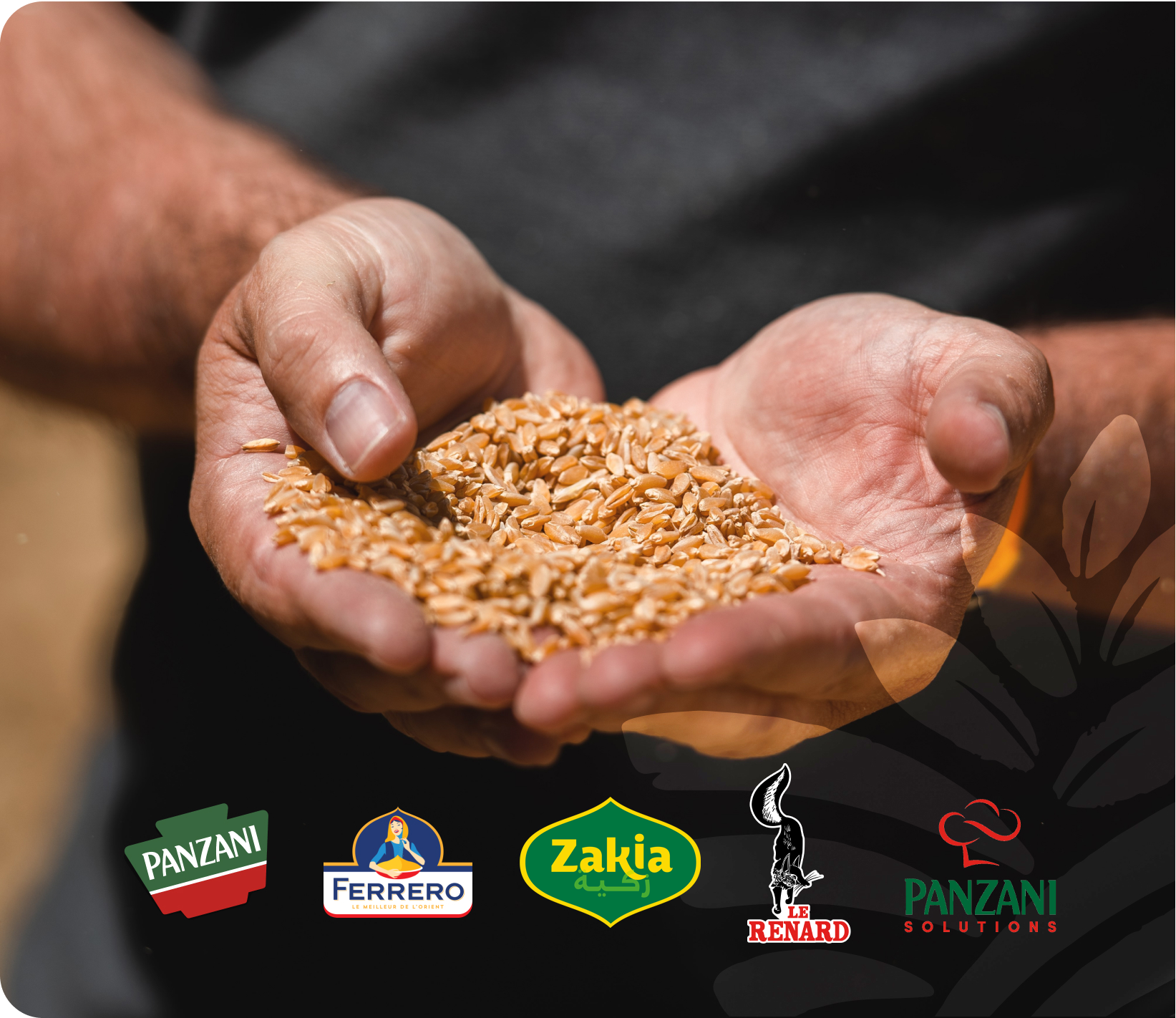 Panzani Brands Logos